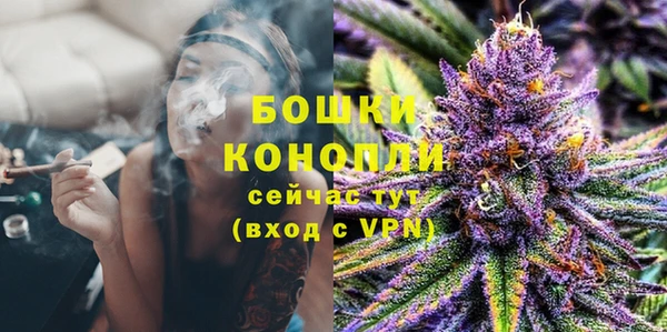 дурь Аркадак