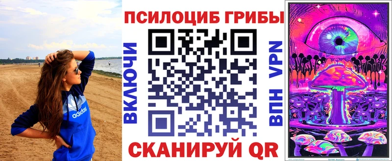 Псилоцибиновые грибы Psilocybe  Салехард 